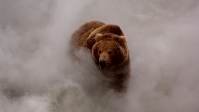 Smokey Bear.jpg