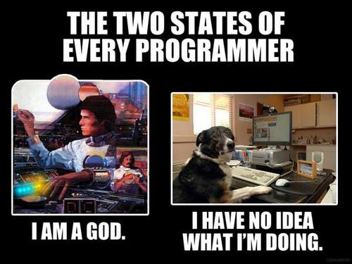 The two states of every programmer.jpg