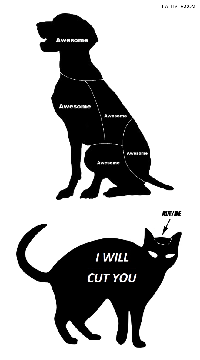 Pet Petting Guide.png