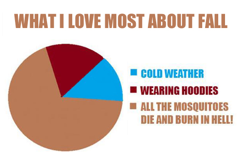 what I love most about fall.jpg