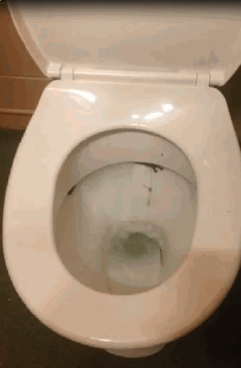 Austrailian Toilet.gif