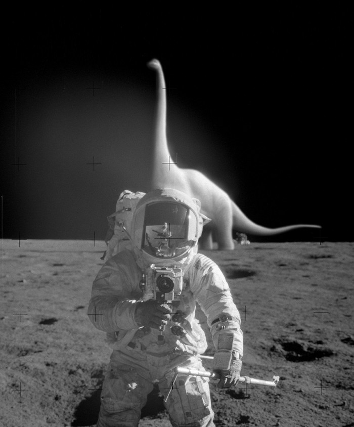 Faked Moon Landing Proof.jpg