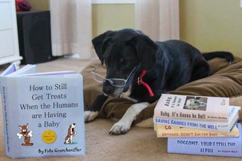 doggy baby expectations.jpg
