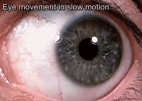 Eye Movement in slow motion.gif