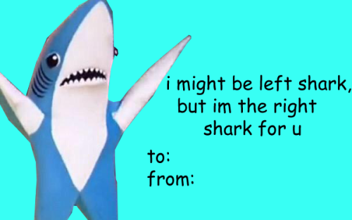 Right Shark.png