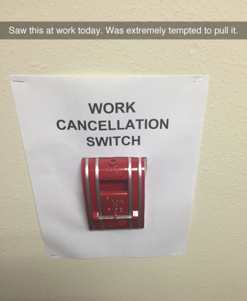 Work Cancellation Switch.jpg