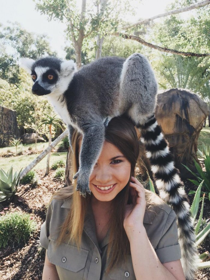 Bindi Irwin with a lemur on her head.jpg