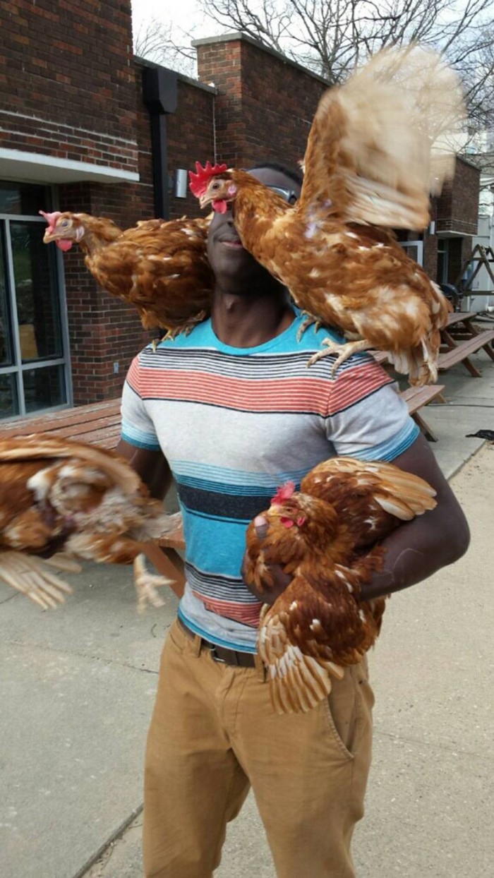 Chicken Holder.jpg