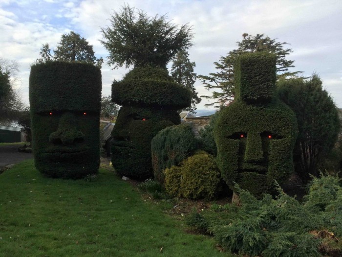 Headges.jpg