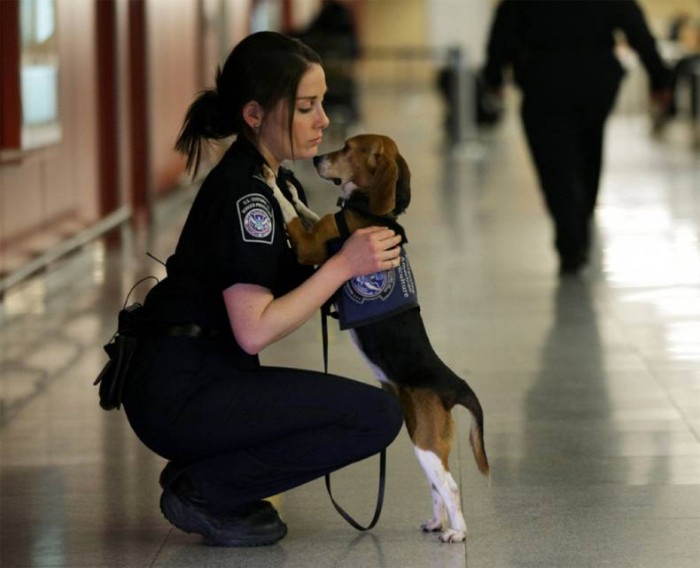 Puppy Police.jpg