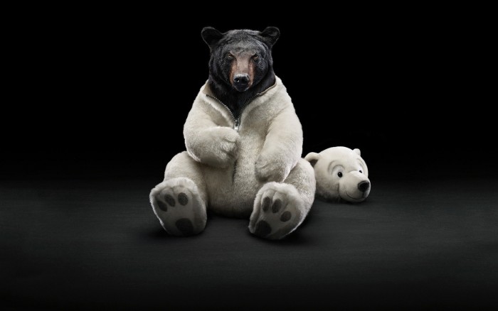 Bear Suit.jpg