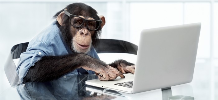 Computer Chimp.jpg