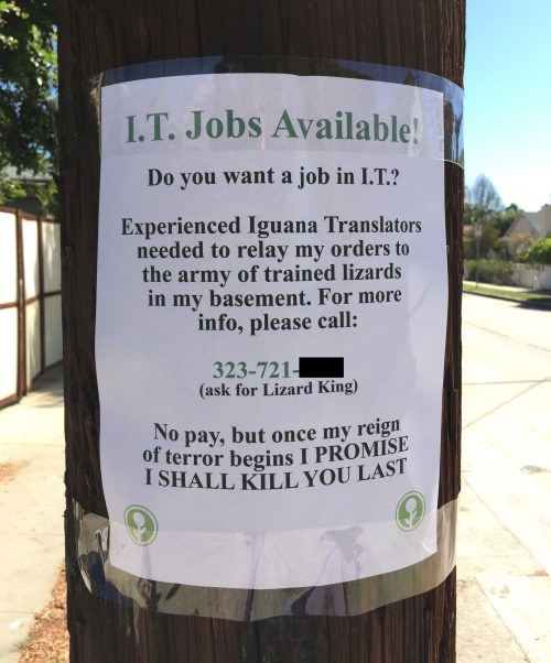 IT Jobs Available.jpg