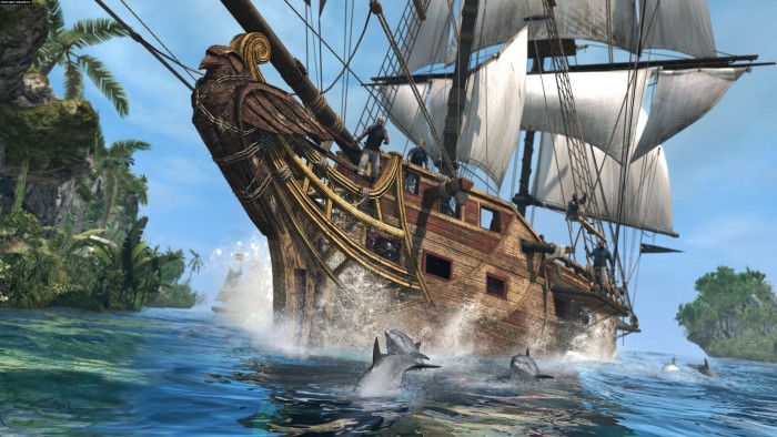 Pirate Dolphins.jpg