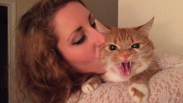 Angry Cat Kiss.jpg