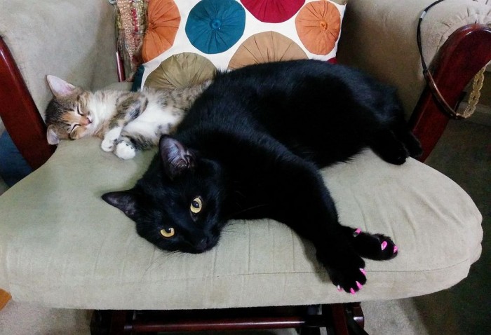 Pink Nails.jpg