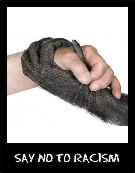 Say no to racism.jpg