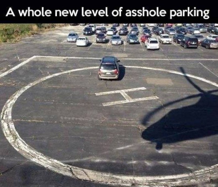 Asshole Parking.jpg
