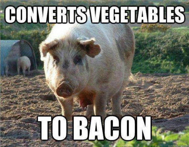 Vegetable Converter.jpg