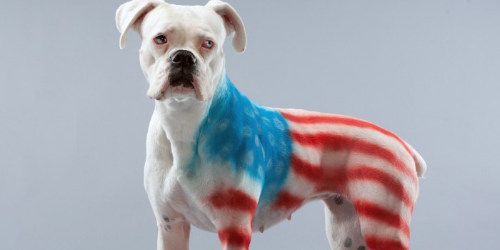 patriotic bitch.jpg