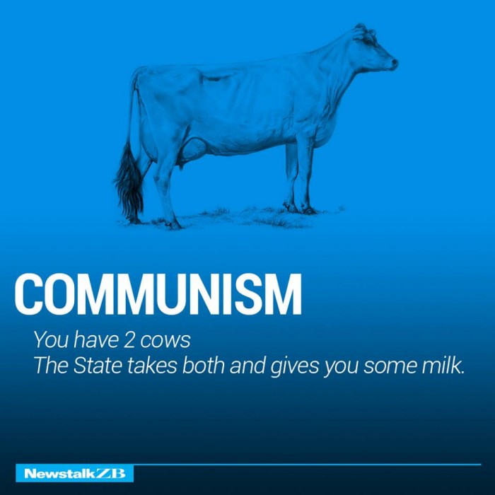 ecnomics-corporation-cows-2333917