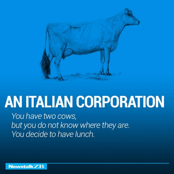 ecnomics-corporation-cows-2333923