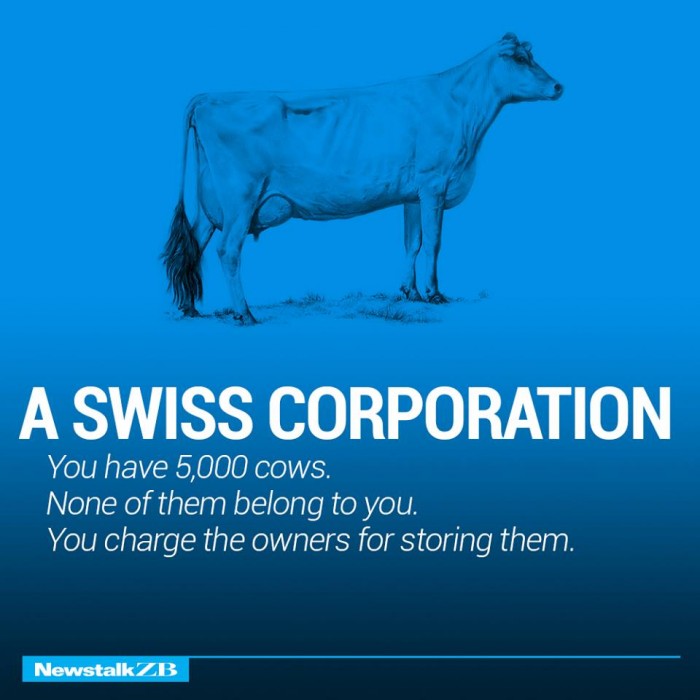 ecnomics-corporation-cows-2333925