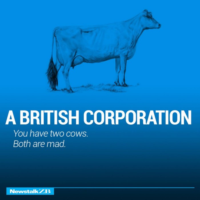 ecnomics-corporation-cows-2333927