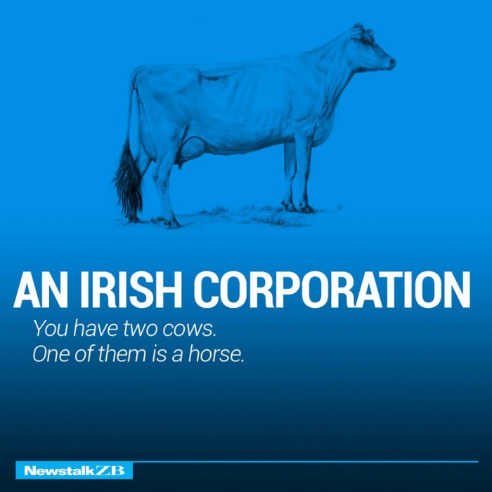 ecnomics-corporation-cows-2333928
