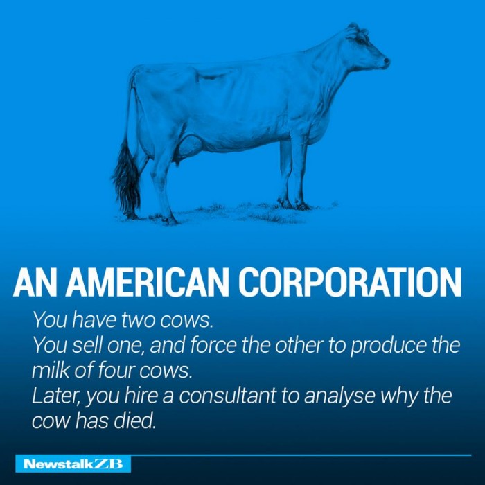 ecnomics-corporation-cows-2333929
