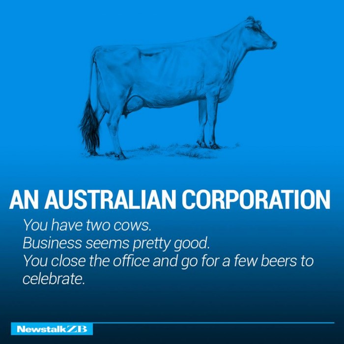 ecnomics-corporation-cows-2333930