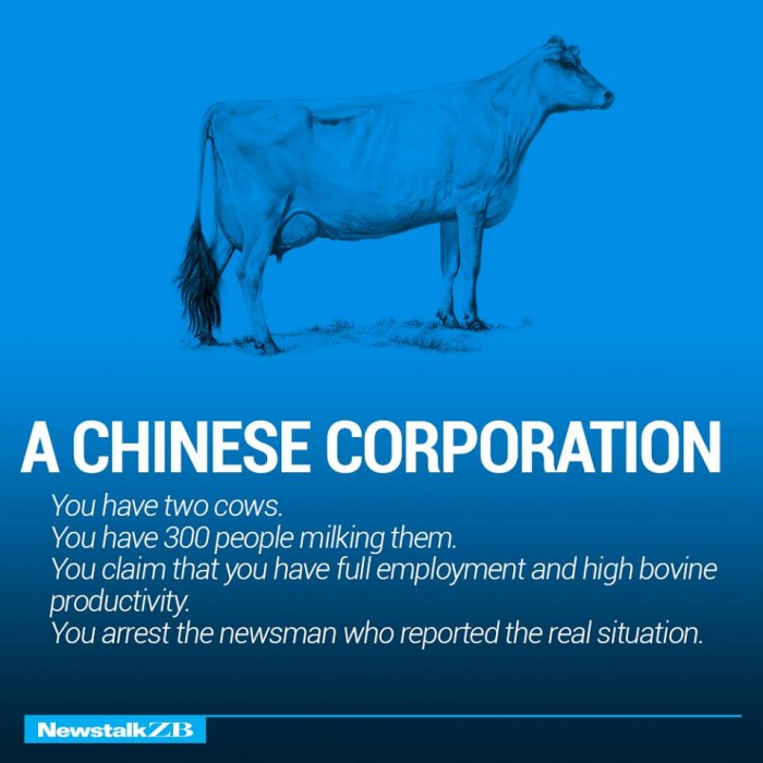 ecnomics-corporation-cows-2333931