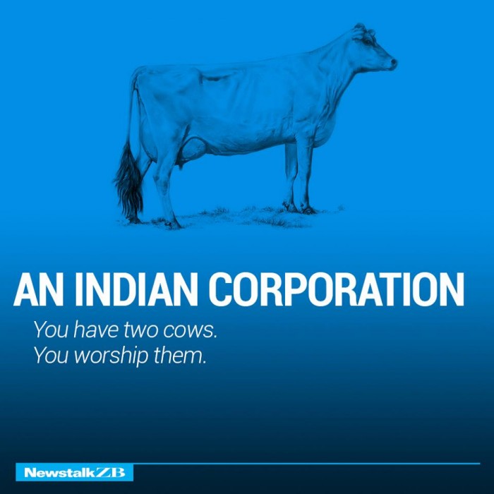 ecnomics-corporation-cows-2333932