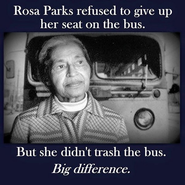 Rosa Parks Difference.jpg