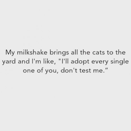 cat lady in training