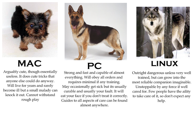 if computers were dogs.png