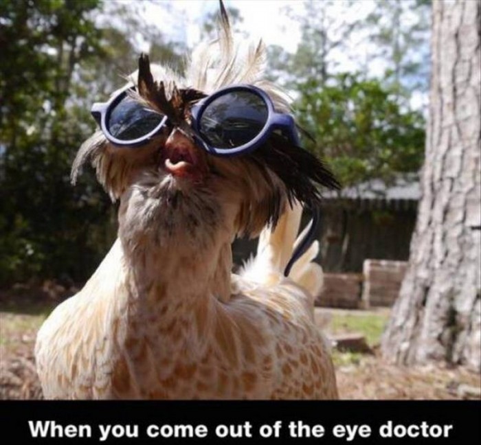 when you come out of the eye doctor.jpg