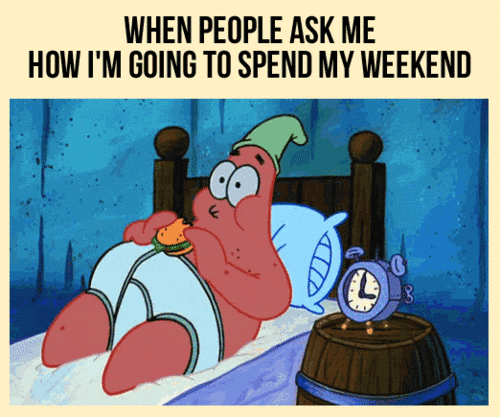 How your weekend is going to go.gif