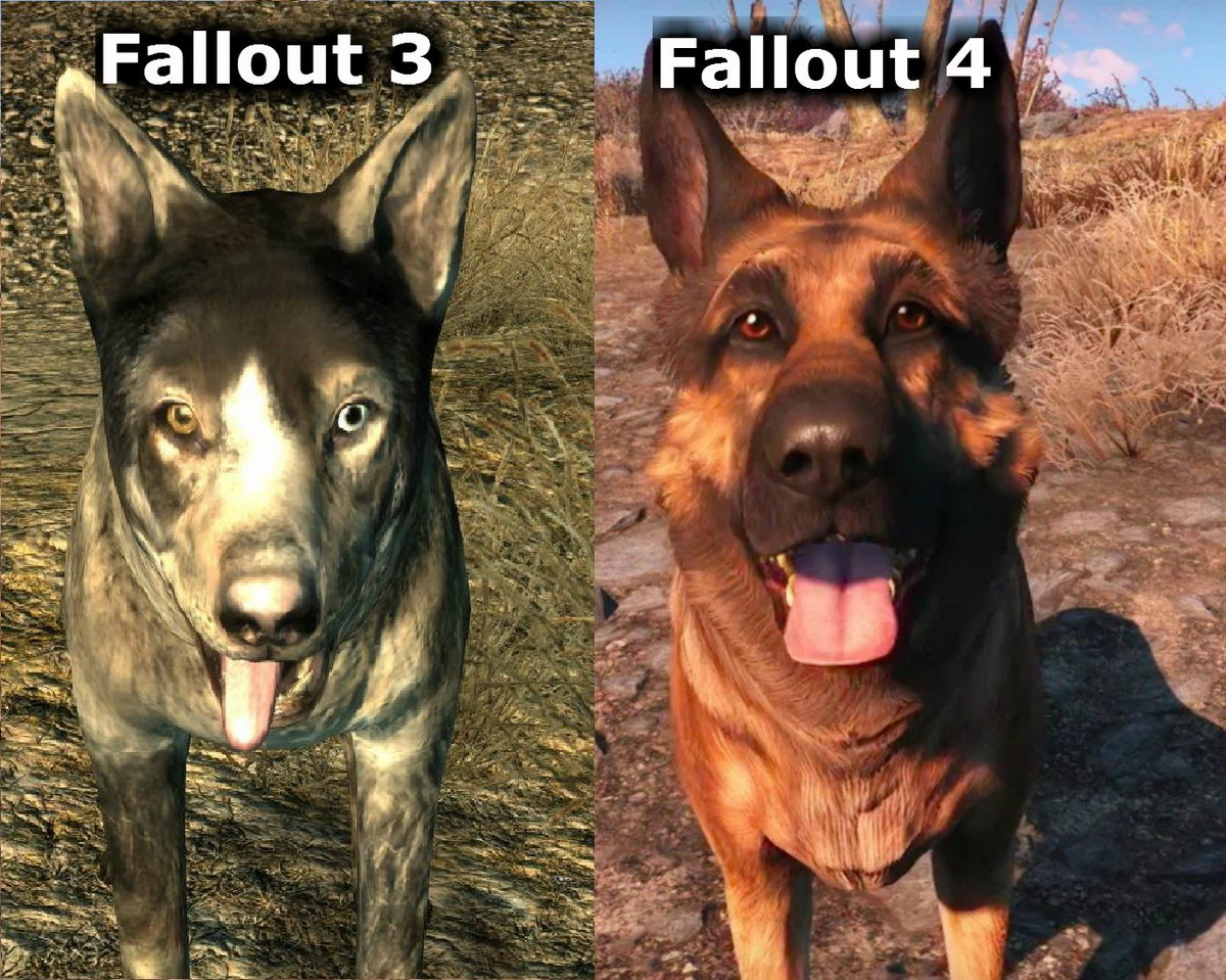 fallout dog comparison MyConfinedSpace
