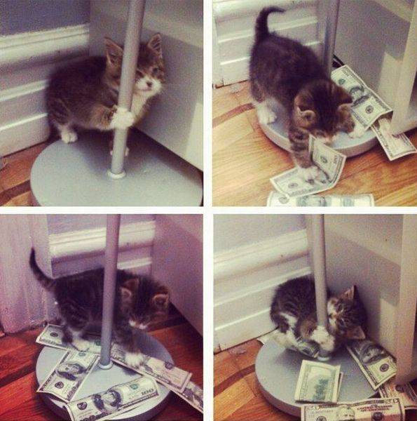 stripper pussy.jpg