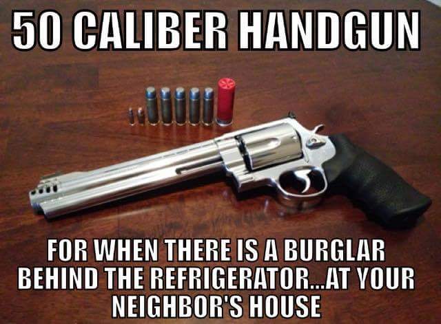 50 Caliber Handgun.jpg