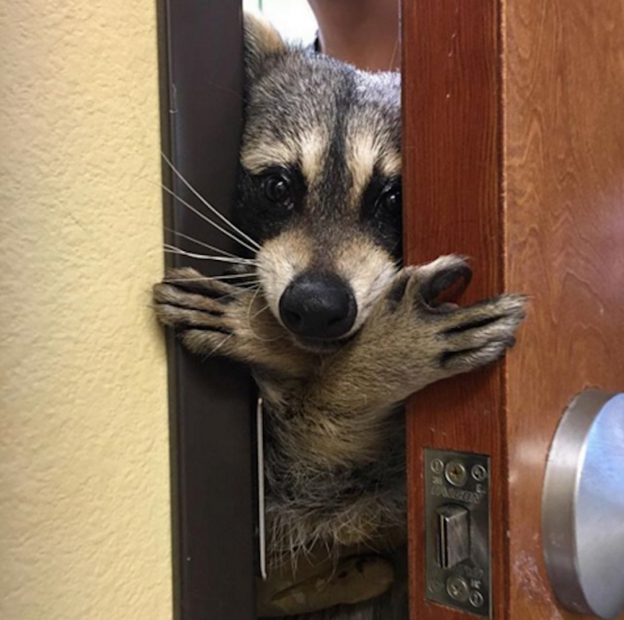 Cute