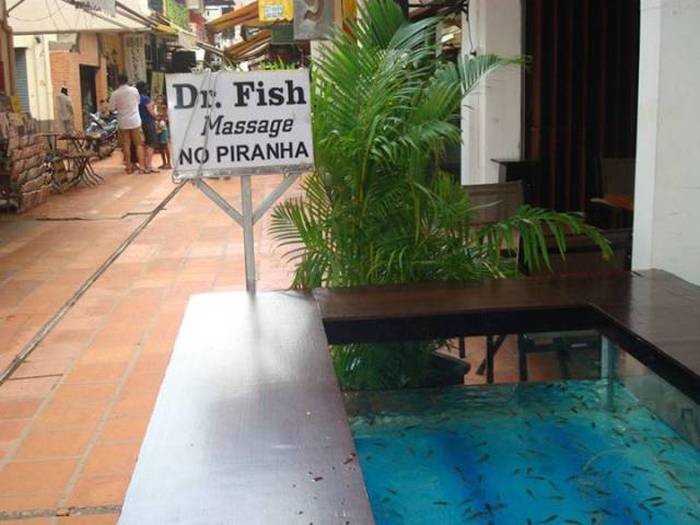 Dr Fish Massage.jpg