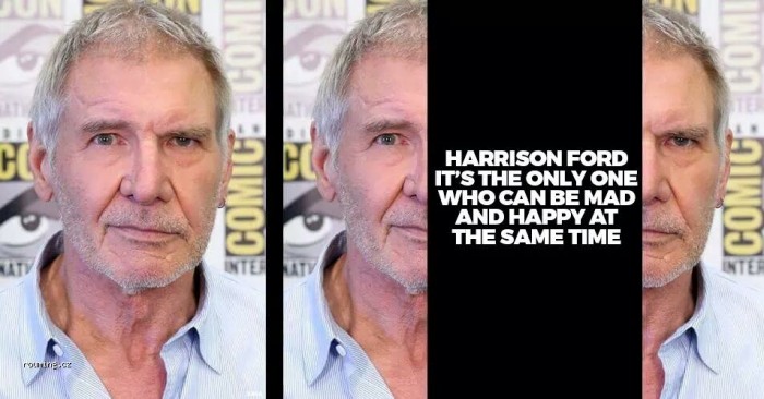 only harrison ford.jpg