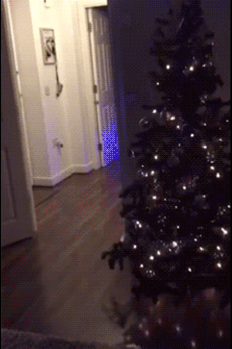 there arose such a clatter