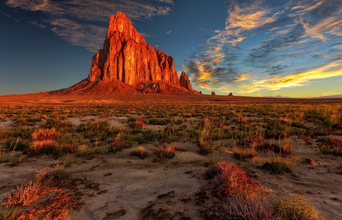 New Mexican Wallpaper.jpg