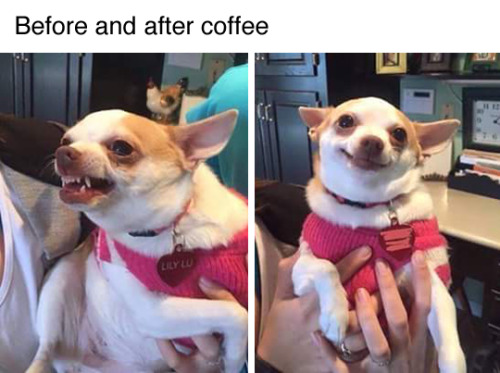 before and after coffee.jpg