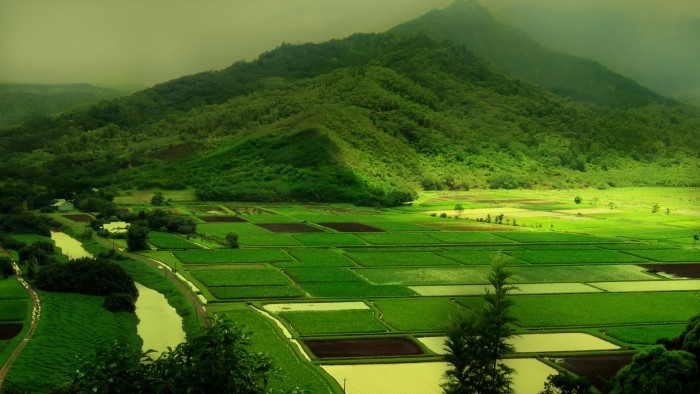 green lands.jpg