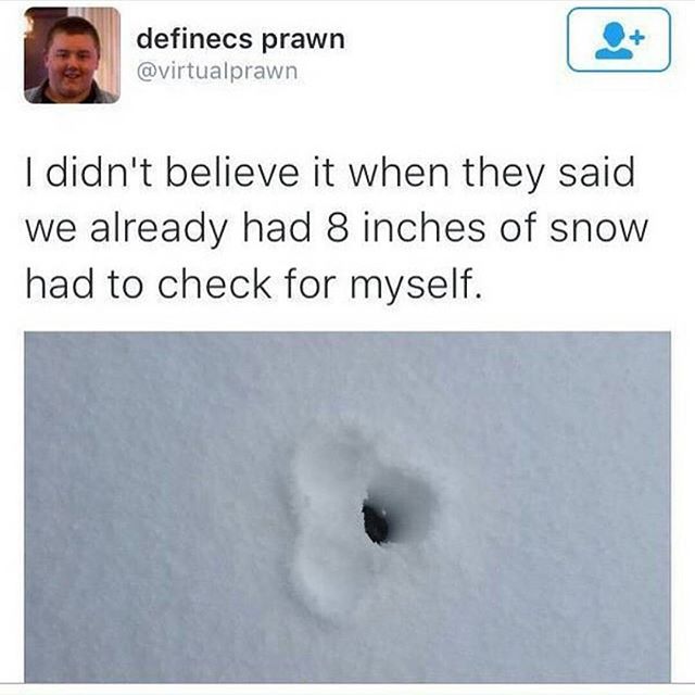 8 Inches.jpg