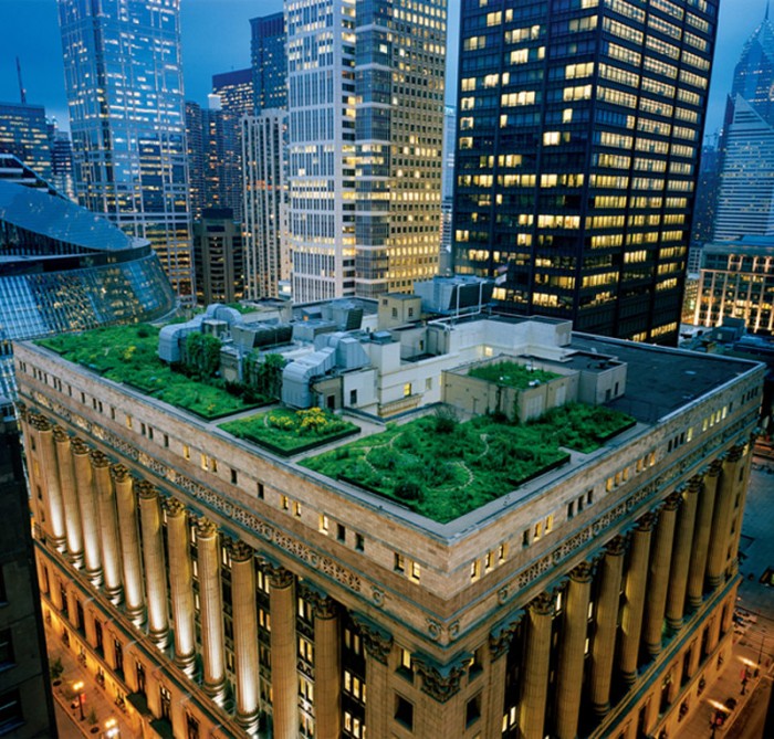 Chicago City Hall Rooftop Garden.jpg